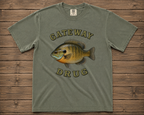 Gateway Drug
