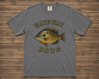 Gateway Drug